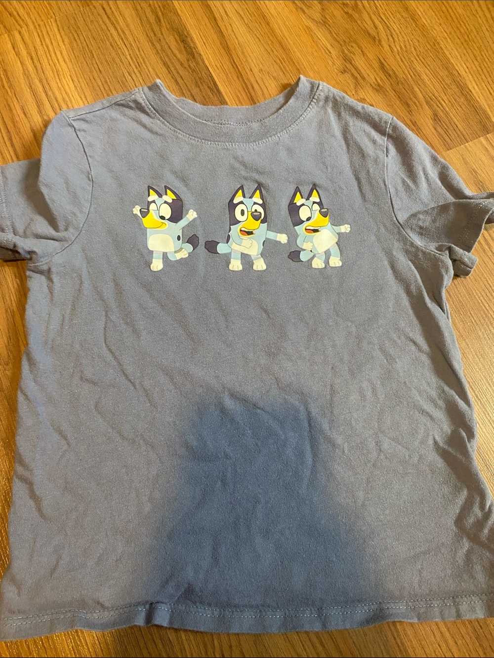 ✨8/$10. Bluey Kids Short Sleeve Tee - size 5T